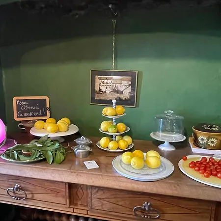 بيت ضيافة Le Manoir Des Remparts De بيس إيه سانت أناستيز